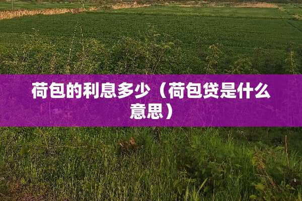 荷包的利息多少（荷包贷是什么意思）