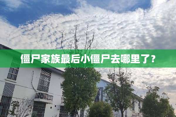 僵尸家族最后小僵尸去哪里了？