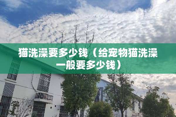 猫洗澡要多少钱（给宠物猫洗澡一般要多少钱）