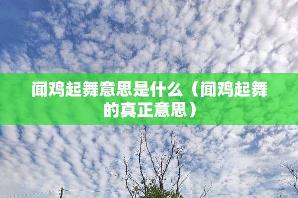 闻鸡起舞意思是什么（闻鸡起舞的真正意思）