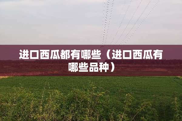 进口西瓜都有哪些（进口西瓜有哪些品种）