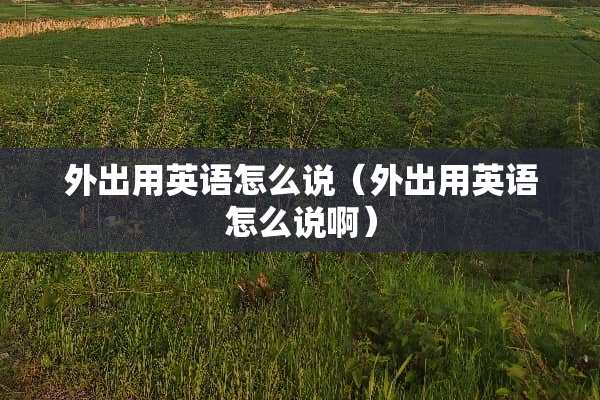 外出用英语怎么说（外出用英语怎么说啊）