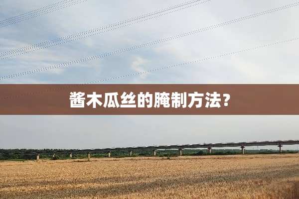 酱木瓜丝的腌制方法？