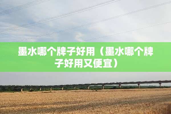 墨水哪个牌子好用（墨水哪个牌子好用又便宜）