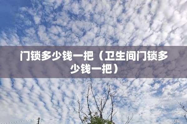 门锁多少钱一把（卫生间门锁多少钱一把）