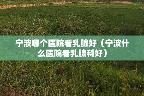 宁波哪个医院看乳腺好（宁波什么医院看乳腺科好）