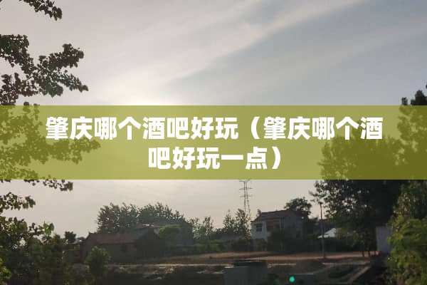 肇庆哪个酒吧好玩（肇庆哪个酒吧好玩一点）