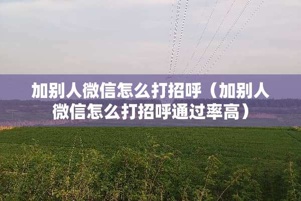 加别人微信怎么打招呼（加别人微信怎么打招呼通过率高）