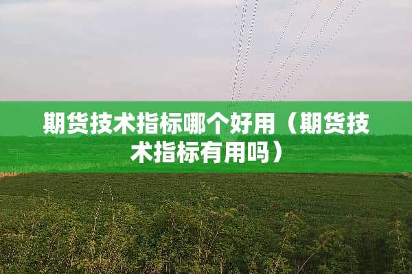 期货技术指标哪个好用（期货技术指标有用吗）