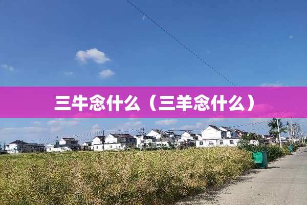 三牛念什么（三羊念什么）
