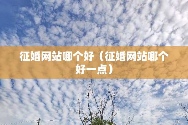 征婚网站哪个好（征婚网站哪个好一点）