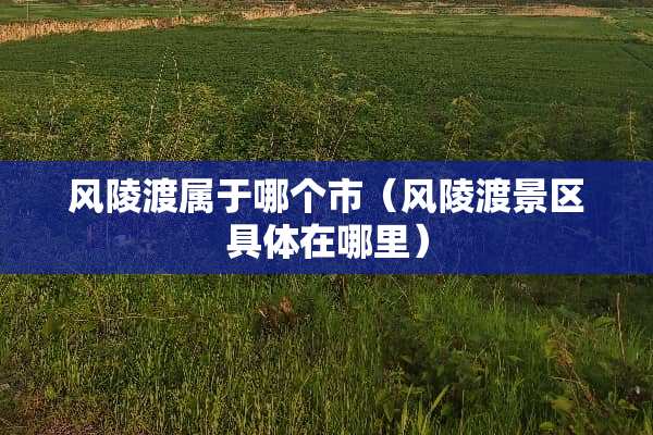 风陵渡属于哪个市（风陵渡景区具体在哪里）
