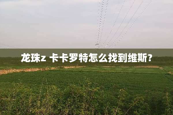 龙珠z 卡卡罗特怎么找到维斯？