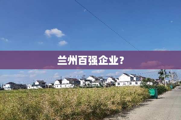 兰州百强企业？