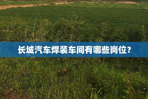 长城汽车焊装车间有哪些岗位？