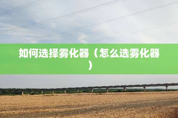 如何选择雾化器（怎么选雾化器）