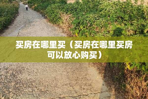 买房在哪里买（买房在哪里买房可以放心购买）