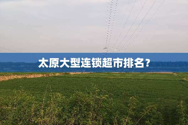 太原大型连锁超市排名？