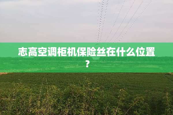 志高空调柜机保险丝在什么位置？