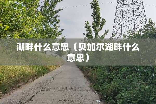 湖畔什么意思（贝加尔湖畔什么意思）
