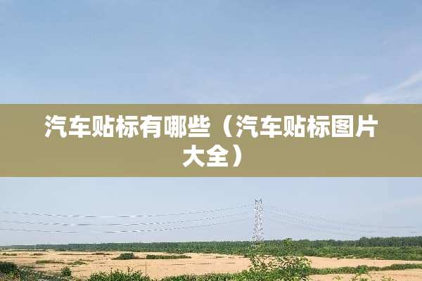 汽车贴标有哪些（汽车贴标图片大全）