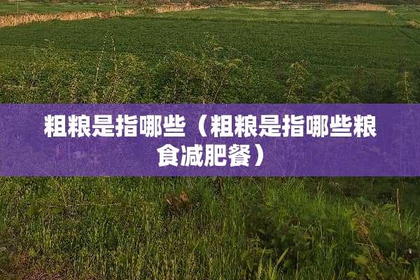 粗粮是指哪些（粗粮是指哪些粮食减肥餐）
