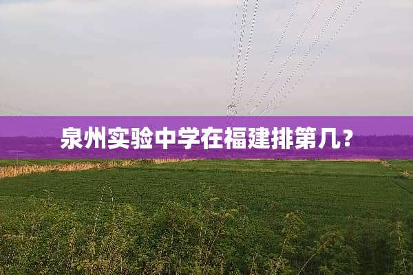 泉州实验中学在福建排第几？