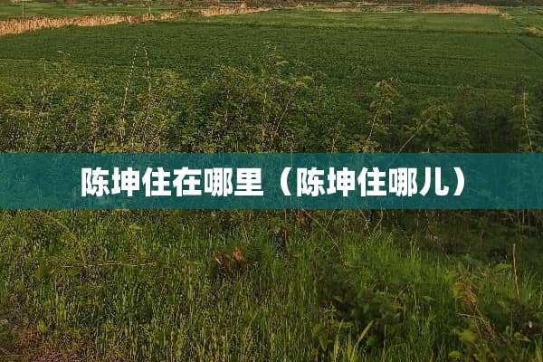 陈坤住在哪里（陈坤住哪儿）