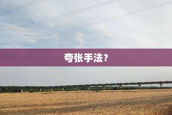 夸张手法？