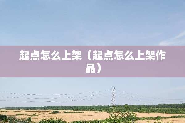 起点怎么上架（起点怎么上架作品）