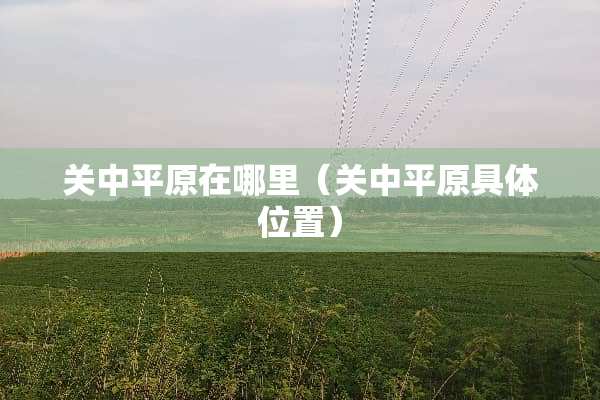 关中平原在哪里（关中平原具**置）