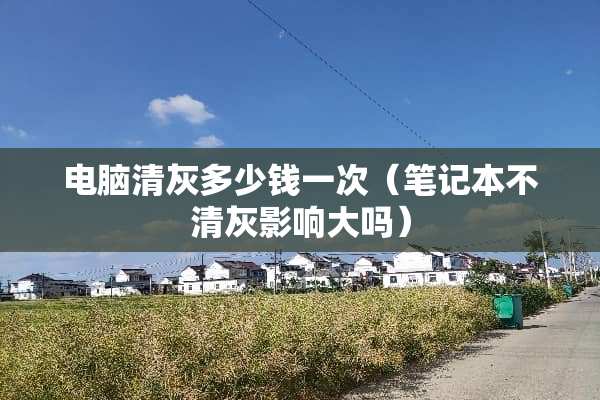 电脑清灰多少钱一次（笔记本不清灰影响大吗）