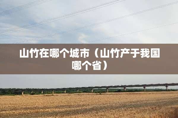 山竹在哪个城市（山竹产于我国哪个省）