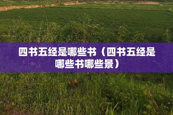 四书五经是哪些书（四书五经是哪些书哪些景）