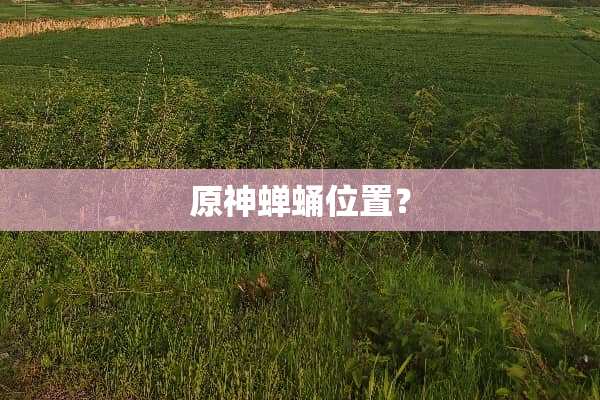 原神蝉蛹位置？