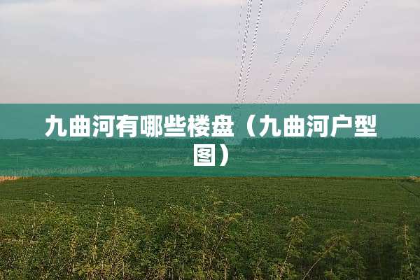 九曲河有哪些楼盘（九曲河户型图）