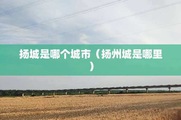 扬城是哪个城市（扬州城是哪里）