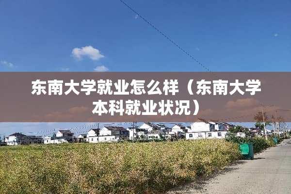 东南大学就业怎么样（东南大学本科就业状况）