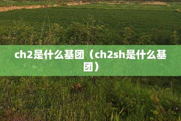 ch2是什么基团（ch2sh是什么基团）