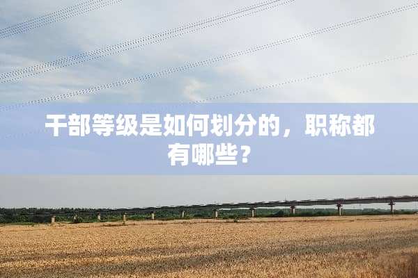 干部等级是如何划分的，职称都有哪些？
