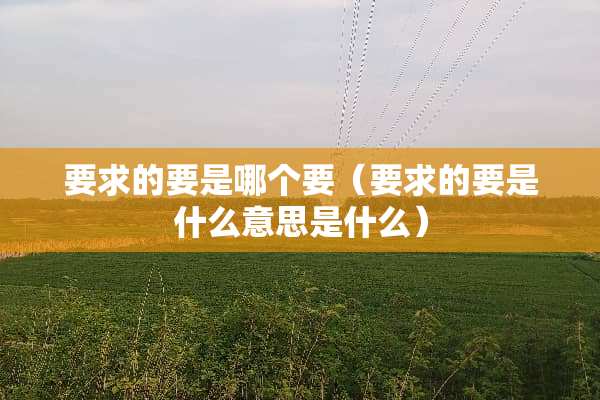 要求的要是哪个要（要求的要是什么意思是什么）