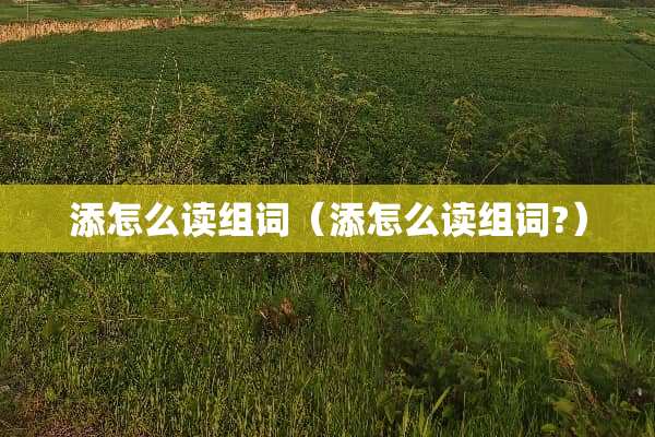 添怎么读组词（添怎么读组词?）