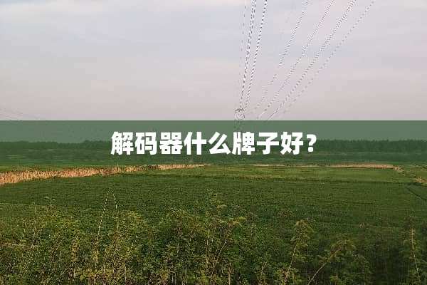 **器什么牌子好？