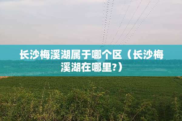 长沙梅溪湖属于哪个区（长沙梅溪湖在哪里?）