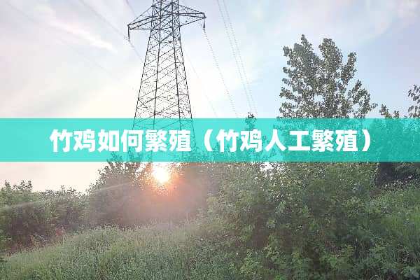 竹鸡如何繁殖（竹鸡人工繁殖）