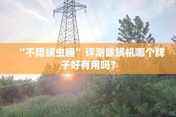 “不陪螨虫睡”评测除螨机哪个牌子好有用吗？