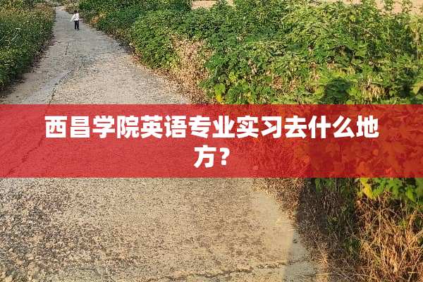 西昌学院英语专业实习去什么地方？