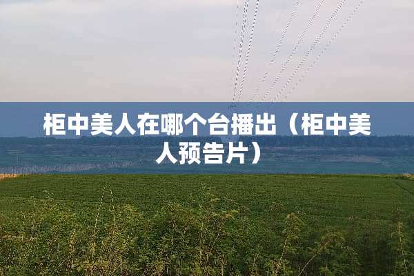 柜中美人在哪个台播出（柜中美人预告片）