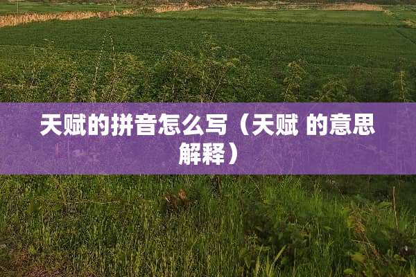 天赋的拼音怎么写（天赋 的意思解释）