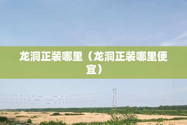 龙洞正装哪里（龙洞正装哪里便宜）